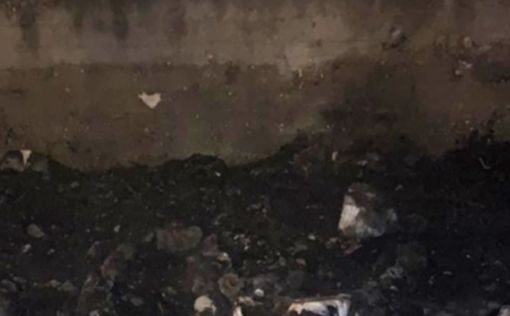 Мужчина пытался поджечь мусульманское кладбище в Хайфе