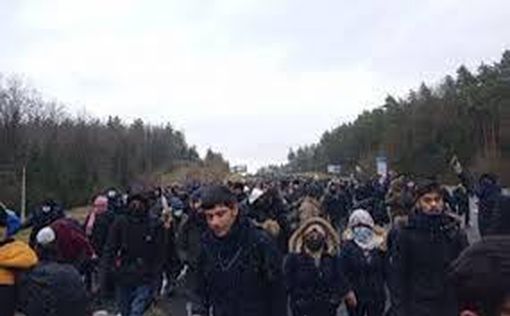 Минобороны Польши: пограничников забрасывают камнями