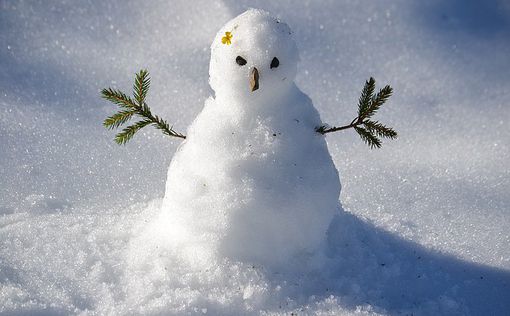 В Беларуси мужчину будут судить за снеговика с усами