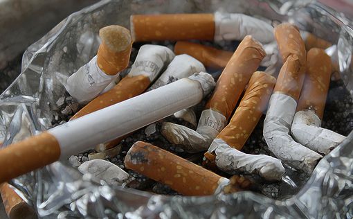 Активисты призывают европейские правительства запретить сигаретные фильтры