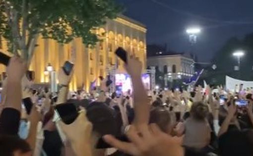 В Тбилиси прошел многотысячный митинг (видео)