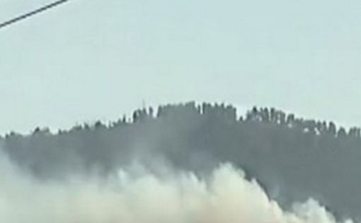 Отдыхающие сожгли часть леса Бирия