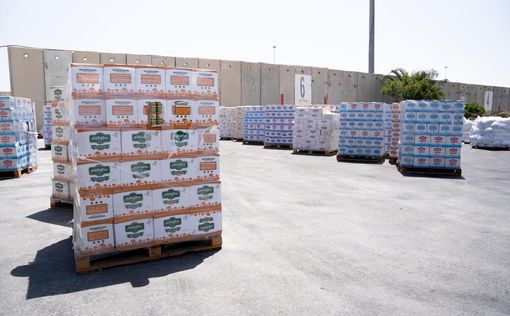 Доставка гумпомощи в Газу продолжается: более 200 грузовиков за сутки