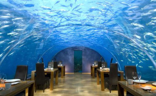 Самый красивый подводный ресторан на Мальдивах