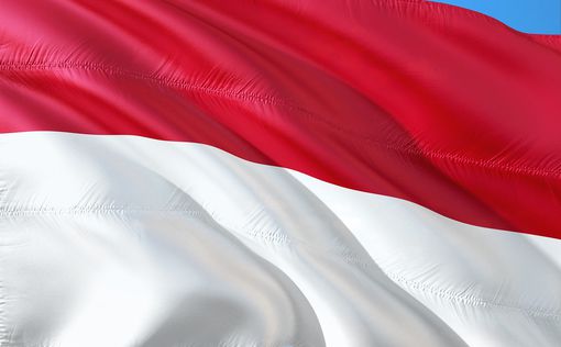 Индонезия предложила свой "мирный план" для Украины