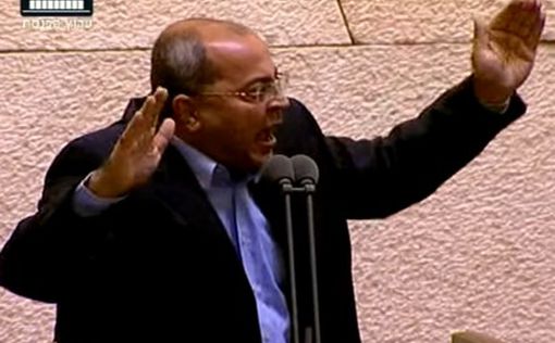 Вопреки коалиции: Кнессет принял закон Ахмеда Тиби