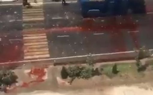 В Узбекистане из-за протестов ввели режим ЧП: улицы залиты кровью