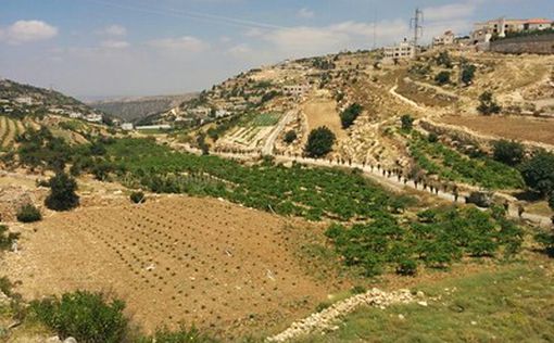80% археологических объектов на Западном берегу - разрушены