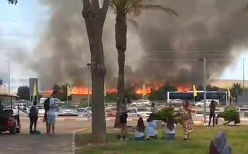 Воздушные змеи вызвали 8 пожаров в Израиле