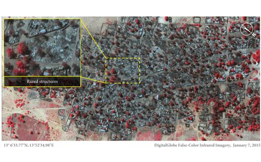 Amnesty опубликовала фото города, атакованного Боко Харам