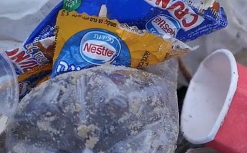 Раввины Израиля призвали к борьбе с пластиком