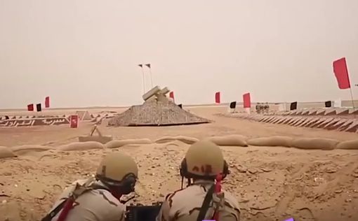 Россия и Египет провели военные учения