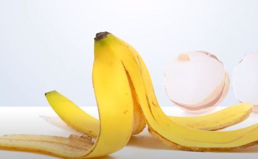 Ученые смогли добыть энергию из бананов