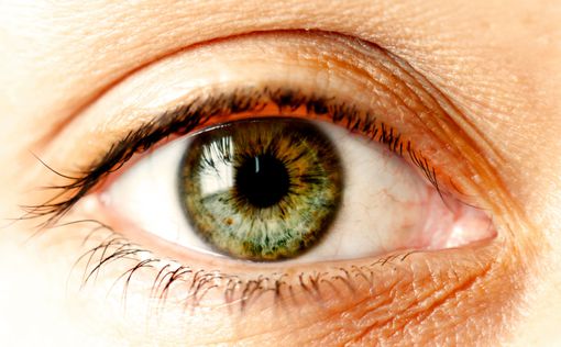 Учёные скоро найдут лечение от "чёрно-белого" зрения