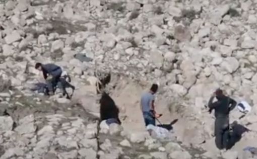 Палестинцы пытались украсть древние артефакты в Тель-Текоа