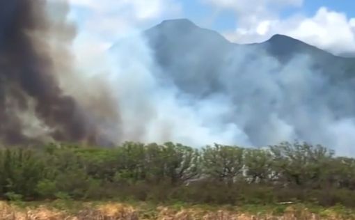 На Гавайях объявлена массовая эвакуация из-за лесных пожаров