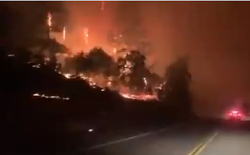 Лесные пожары в Калифорнии: власти пошли на крайние меры