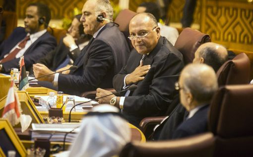 Лига арабских государств договорилась о борьбе с ISIS