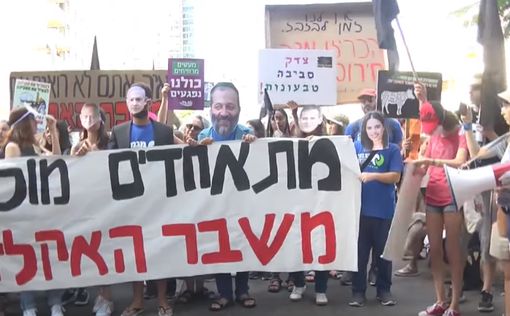 Тысячи жителей Тель-Авива вышли на климатический протест