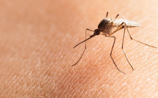 Microsoft создала робота для отлова опасных комаров