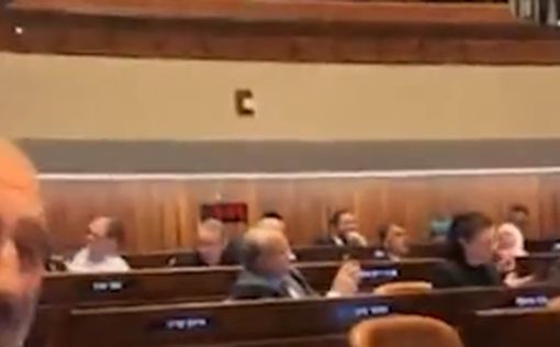 Видео: депутат "Оцма Йехудит" обратился к Тиби, как к "животному"