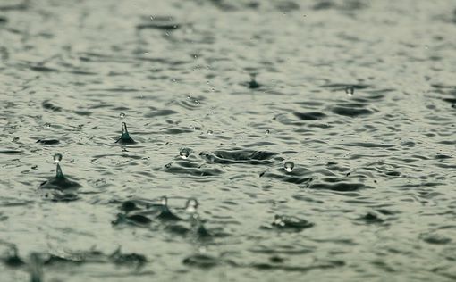 Синоптики обещают дожди и грозы во второй половине дня