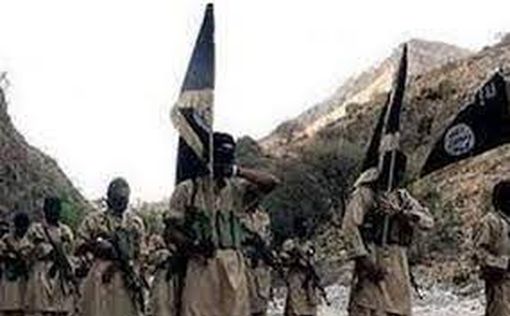 США ликвидировали террористов филиала "Аль-Каиды" в Сомали