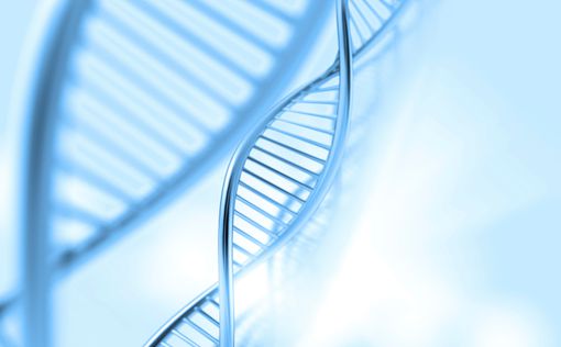 По ДНК можно определить, сколько проживет человек