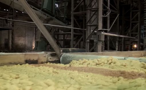 Иран будет закупать сахар у Индии из-за санкций