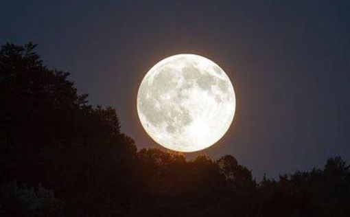 Полная луна картинки