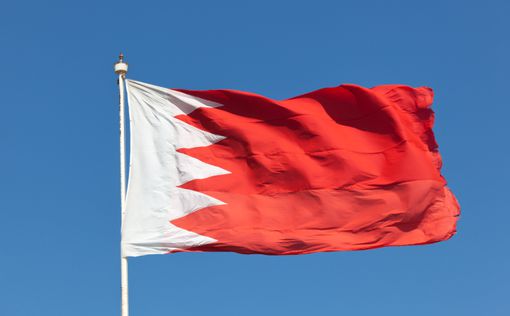 Король Бахрейна может посетить РФ с официальным визитом