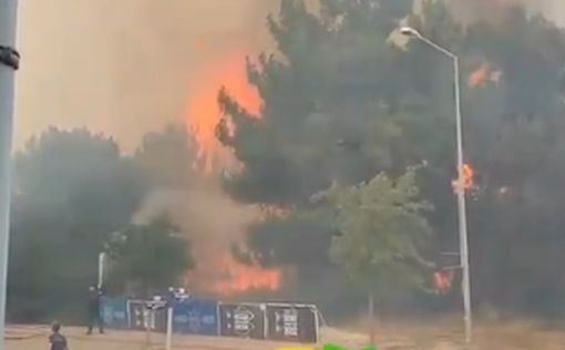 В Анталье вспыхнул масштабный пожар