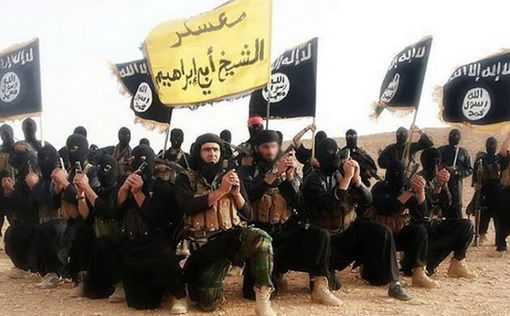 ISIS опубликовало интервью с захваченным пилотом