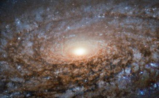 Телескоп Hubble сделал снимок "шерстяной" галактики