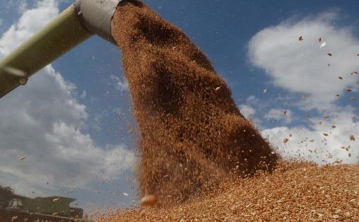 Евросоюз намерен продлить запрет на импорт украинского зерна