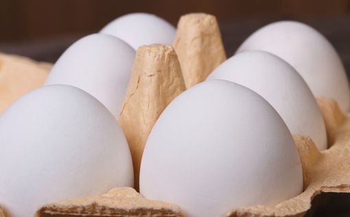В яйцах из Испании, возможно, выявлена сальмонелла