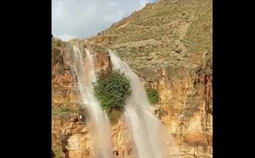 Захватывающее видео: Водопад Раушаш в Нахаль-Пецаэль в Иорданской долине