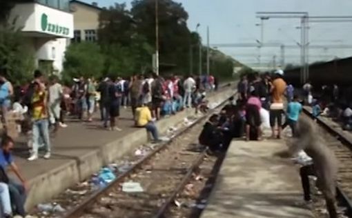 5 тысяч беженцев перешли границу с Сербией