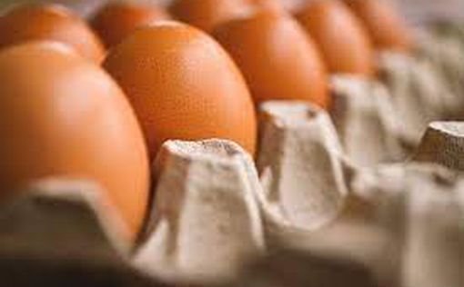 Изъяты свыше 130 тысяч контрабандных яиц из ПА