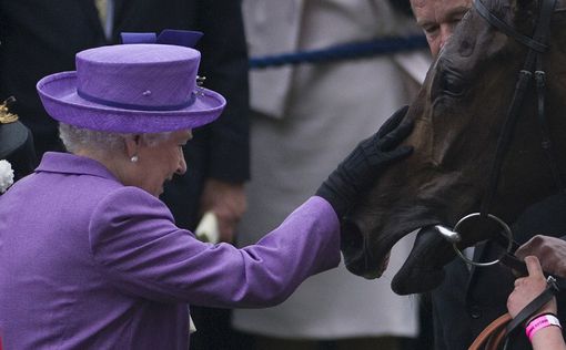 У лошади королевы Елизаветы II нашли допинг