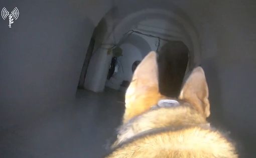 Боевые псы в тоннелях ХАМАСа