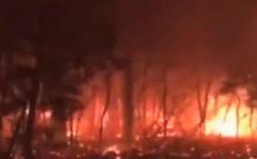 Во Франции вновь вспыхнул масштабный пожар