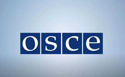 В ОБСЕ призвали к уважению демократического процесса в США