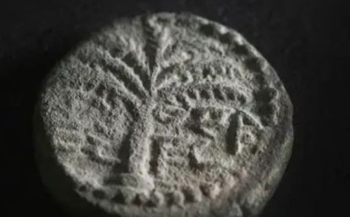 В Иудейской пустыне нашли монету времен Бар-Кохбы