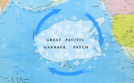 На Большом мусорном пятне в Тихом океане поселились живые организмы