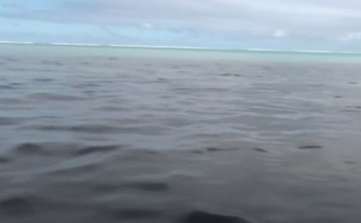 Разлив нефти у берегов Маврикия: экологи бьют тревогу