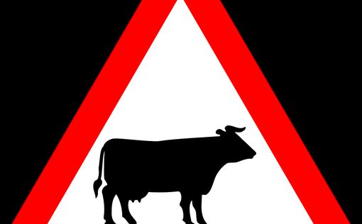 В Испании мужчина погиб во время забега быков