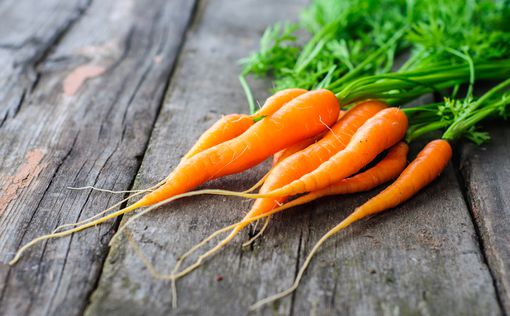 Морковь уменьшит негативное влияние курения на легкие