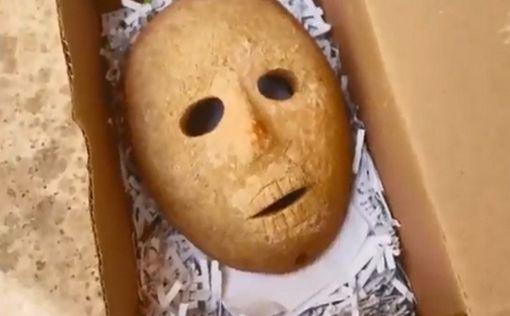 Близ Хеврона нашли каменную маску, которой больше 9 000 лет