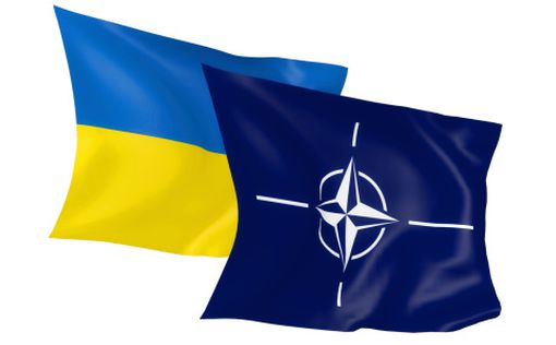 НАТО подготовит меры для поддержки Украины